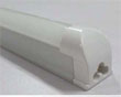 8ϵһ廯չ(10W)