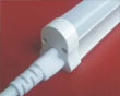 5ϵһ廯չ(6W)